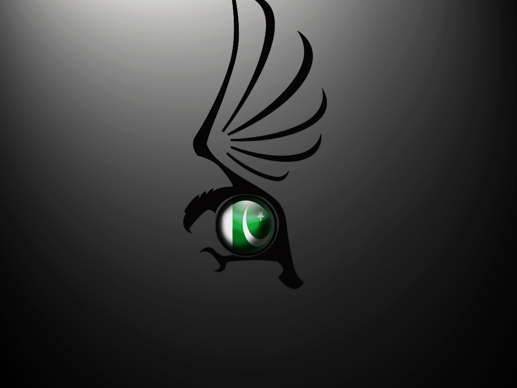 Cool_Pakistan_Flag_by_ZTigerZ.jpg