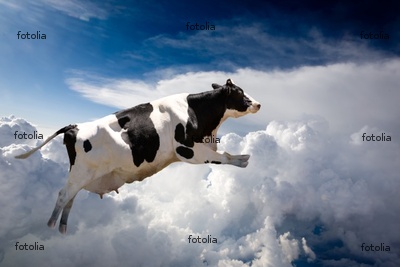 cow-flying.jpg