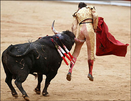 bull+fight.jpg