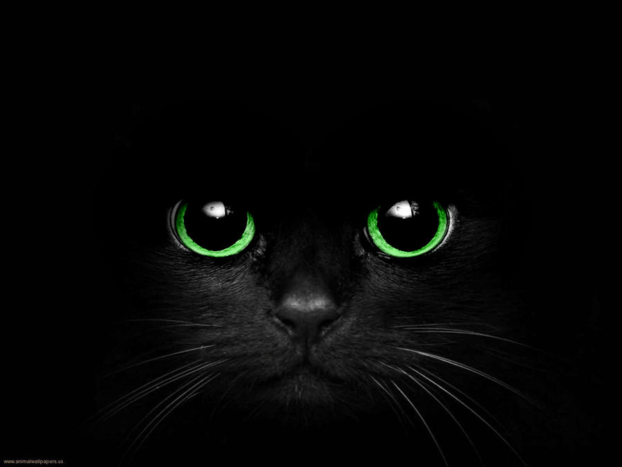 black_cat_with_green_eyes_by_cometsong-d462exf.jpg