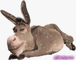 donkey.gif