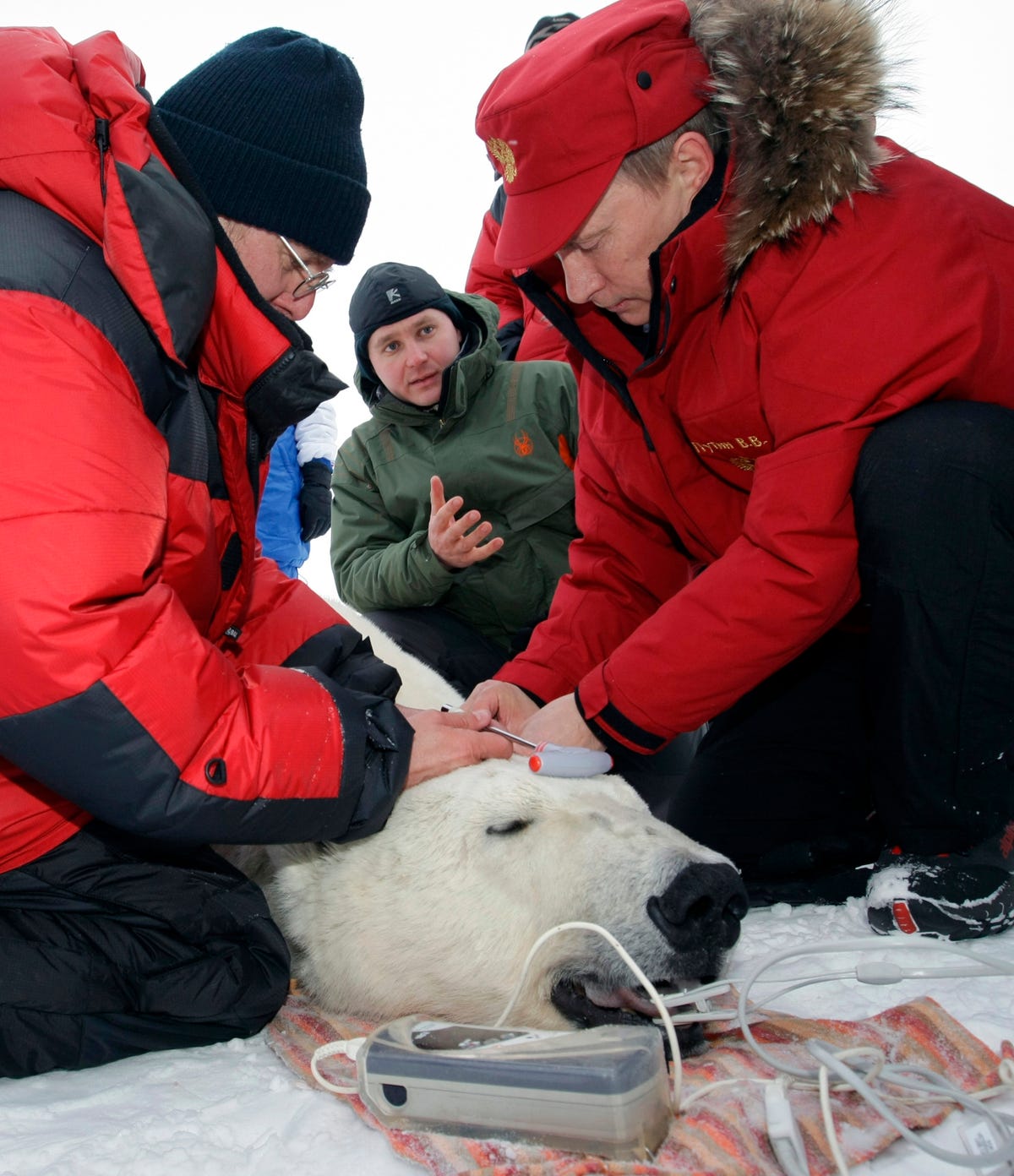 hes-also-shot-a-polar-bear-for-science-this-allowed-researchers-to-tag-and-track-the-arctic-bear.jpg