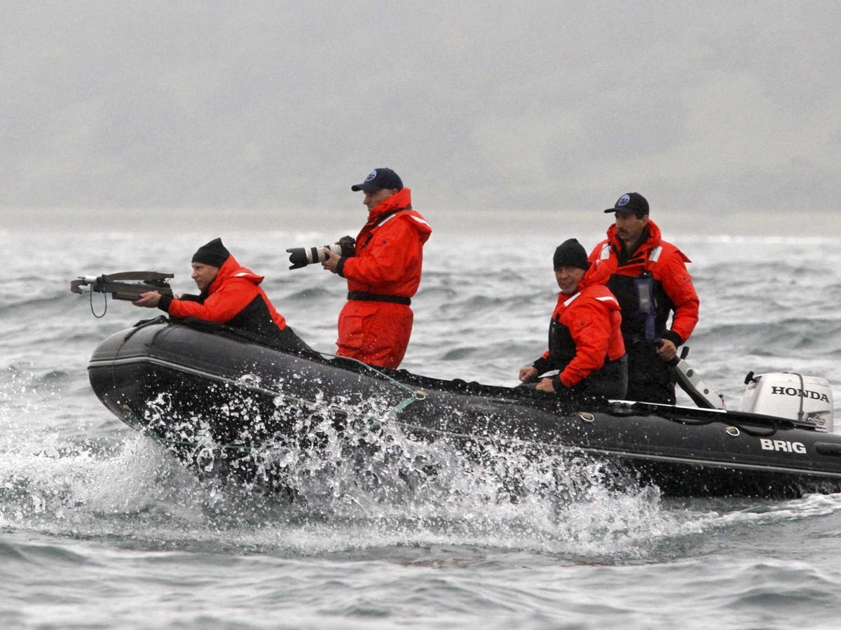 no-beast-is-safe-from-an-armed-vladimir-putin-he-shot-an-endangered-grey-whale-with-a-crossbow-from-a-motorboat-again-to-help-researchers-track-the-animal.jpg