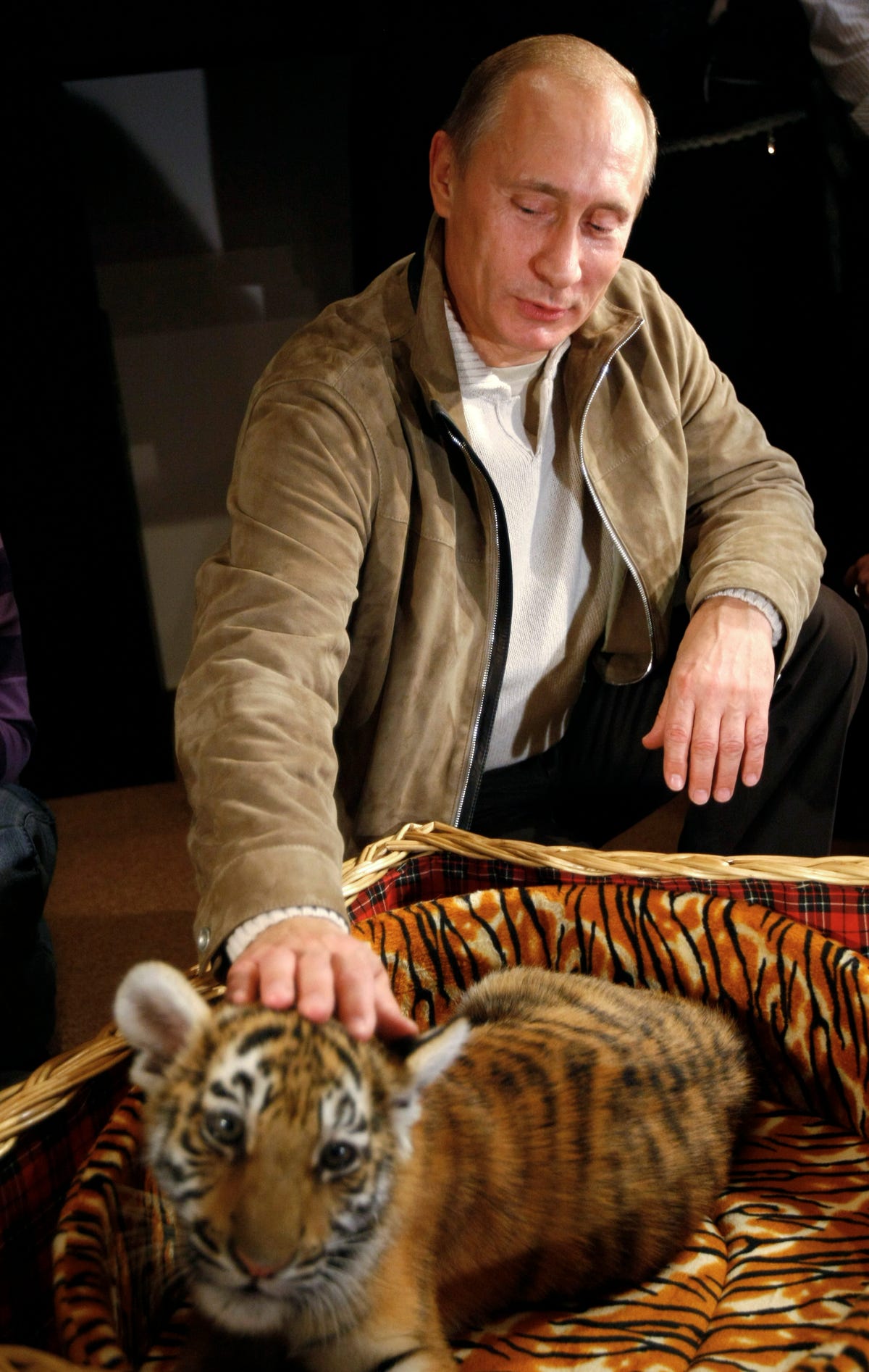 theres-also-a-softer-side-to-the-russian-president-here-putin-strokes-a-two-month-old-tiger-cub-he-received-as-a-birthday-present-at-his-novo-ogaryovo-residence-outside-of-moscow-it-will-soon-go-to-a-zoo.jpg