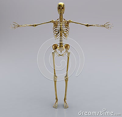 gold-human-skeleton-18959642.jpg