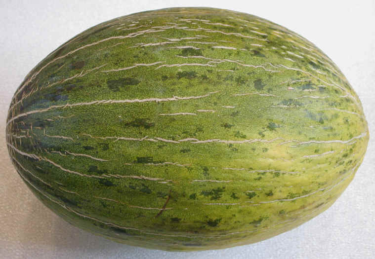melon-santaclaus.jpg
