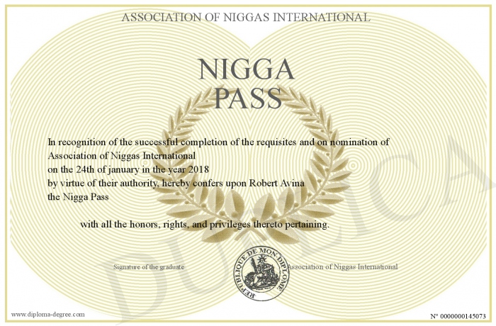 700-145073-Nigga-Pass.jpg