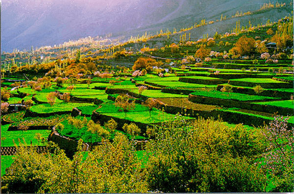 Hunza-Pakistan.jpg