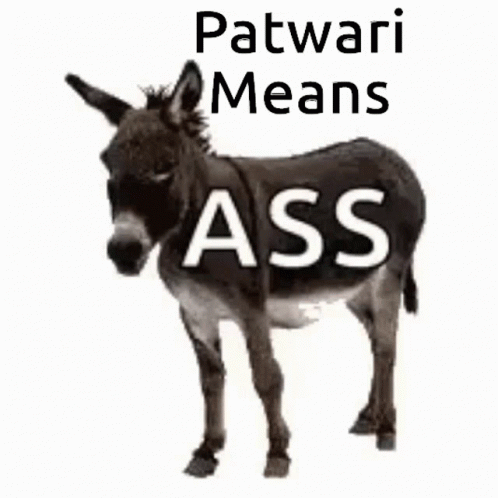 donkey-patwari-means.gif