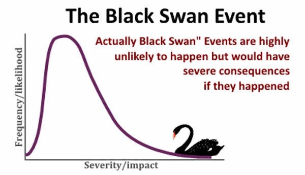 Black_Swan_Event.jpg