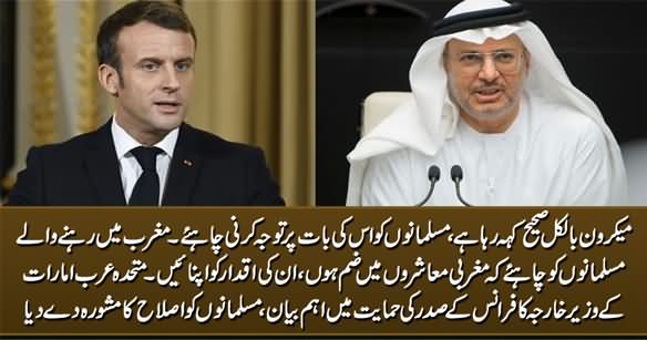 uae-minister-supports-french-minister-suggests-western-muslims-to-integrate-in-western-societies.jpg